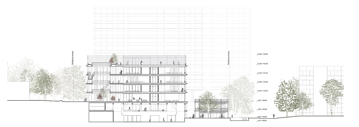 coupe transversale Groupe scolaire Hauts De Dorigny